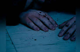 Finally Caught S1: Steller; King