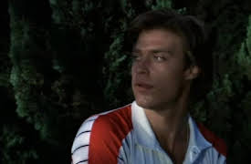 Dynasty, Season 1: The Honeymoon