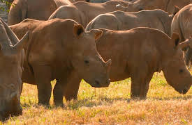 Work on the Wild Side, Season 1: All the Feels