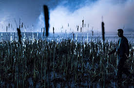 Succession: Nobody Is Ever Missing