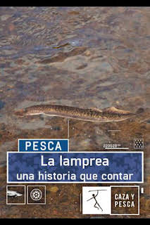 15:30: La lamprea: una historia que contar | Caza y Pesca | 2/1 2026