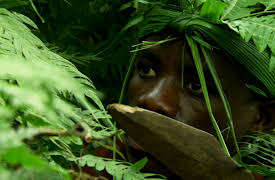 Wildest Africa: Virungas Land of Ice and Fire