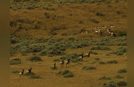 Aerial America Season One: Montana