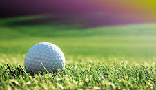 Live PGA Tour Golf (137)
