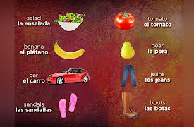 Learning Spanish: How to Understand and Speak a New Language: Subject Pronouns and the Verb Ser