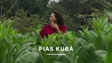 19:00: Pias Kuba | SVT2 | 3/29 2026