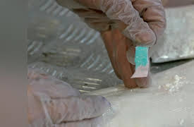 Stop! Border Control: STOP! Border Control