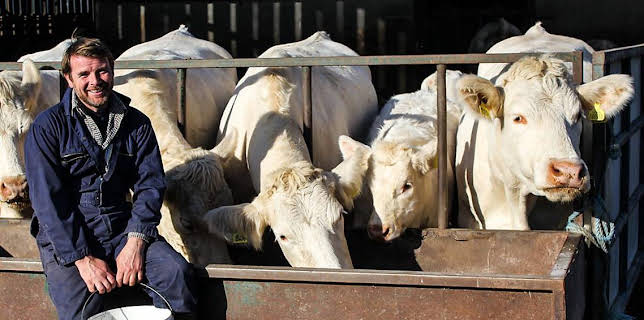 11:00 AM: This Farming Life (S3 E8) (S3) | BBC Two | 11/22 2025
