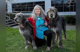 Animal Emergency: Episode 2