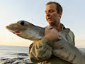 Extreme Fishing with Robson Green