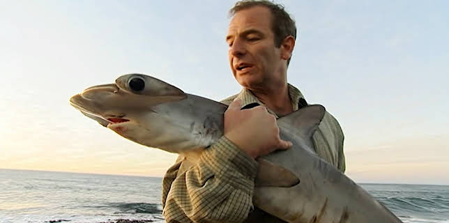 2:00 PM: Extreme Fishing with Robson Green (S1 E3) (S1) | Dave | 2/4 2026