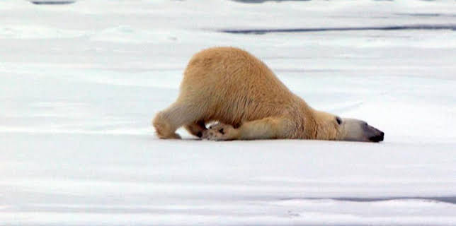 06:55: Kinderfilme und Kinderdokus im Ersten | Das Erste | 12/6 2025