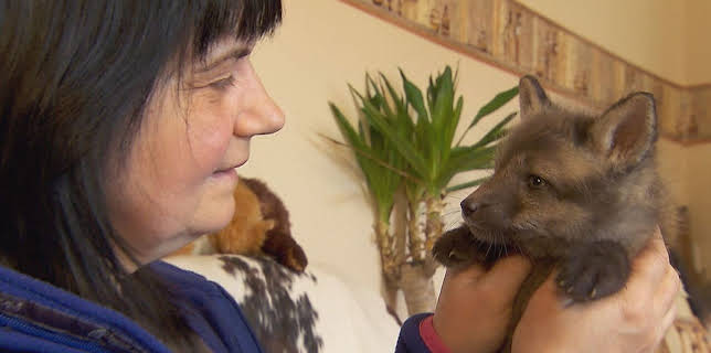 16:00: Wilde Berliner | RBB Fernsehen | 2/21 2026