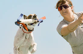 A Different Breed Season 1: Family Fun Time