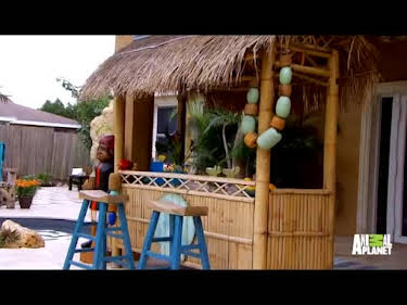 5:00 PM: Insane Pools: Off the Deep End (S3 E11) (S3) | Animal Planet | 12/20 2025