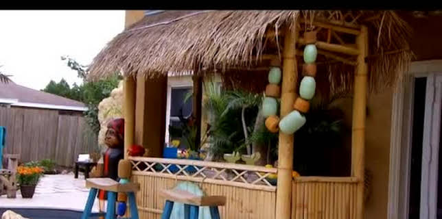 4:00 PM: Insane Pools: Off the Deep End (S3 E11) (S3) | Animal Planet | 12/20 2025