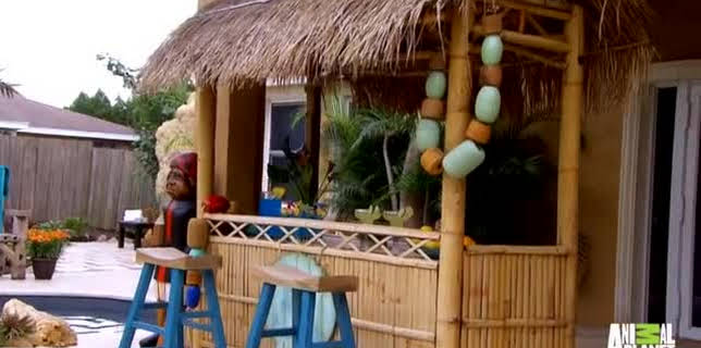 Insane Pools : Off The Deep End