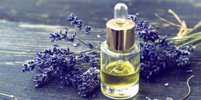 12:24: Hvordan den lages (S21 E10) (S21) | Discovery Science | 10/31 2025