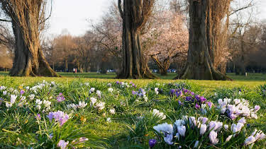 19:30: Hamburg und die Nordsee | Radio Bremen | 4/5 2026