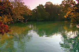 discovery+ Immersions, Season 1: Manatee Spring