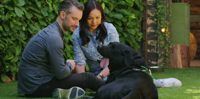 16:25: Hundehuset: Monty | NRK 2 | 3/17 2026