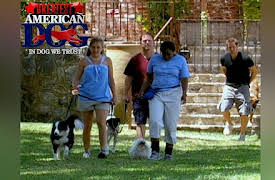 Greatest American Dog Season 1: Dog Swap