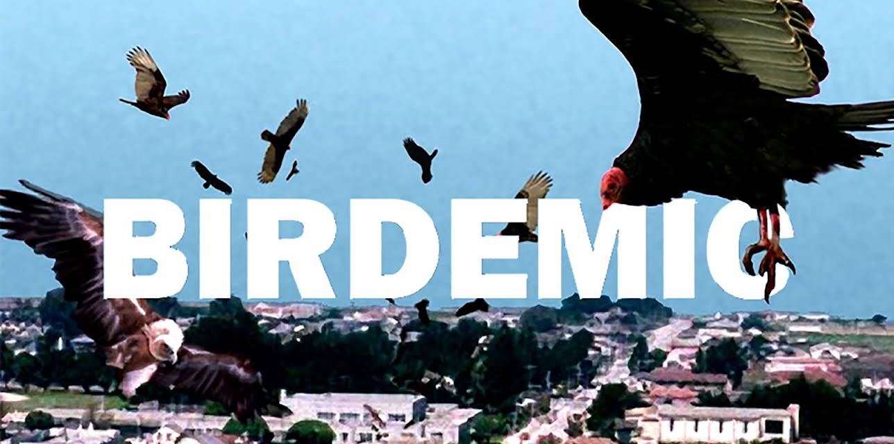 Birdemic: Shock and Terror (2010)