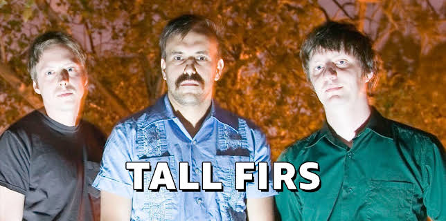 Tall Firs (2007)
