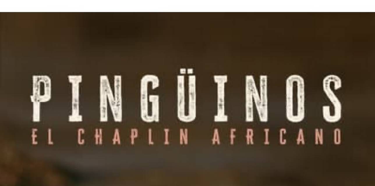 Pingüinos: El Chaplin Africano