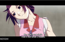 BAKEMONOGATARI: TSUBASA Cat, Part 2