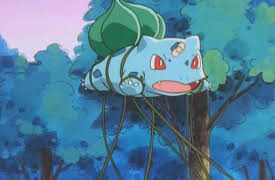 Pokémon: Episode 48