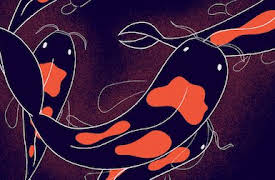 Headspace: en guide till sömn: Drömmarnas underliga värld