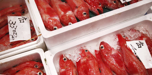 05:00: How Do They Do It? (S8 E17) (S8) | Kanal 9 | 3/10 2026