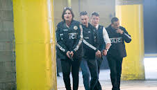 Law & Order: Special Victims Unit (S19 E24)