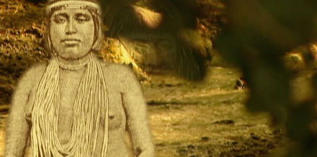 California's "Lost" Tribes (2026)