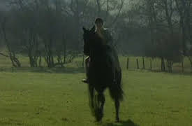 Med hjartet på rette staden: Episode 65