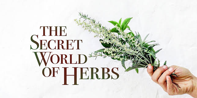 The Secret World of Herbs