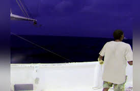 Big Shrimpin' Season 1: Shrimpin' Round the Clock