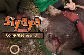 Siyaya – Come Wild With Us: Horn of Africa