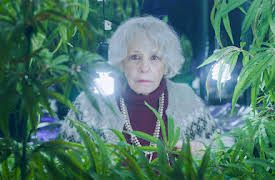 Familjeföretaget: Pastragräs