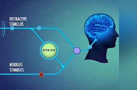 The Mayo Clinic Guide to Pain Relief: What Is Pain?