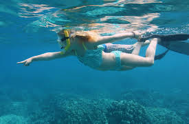 Splash and Bubbles: Get Your Feet Wet, Season 1: Judy's Playground Song