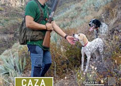 Perdiz moruna en las islas afortunadas