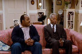 Family Matters, Season 1: Sitting Pretty