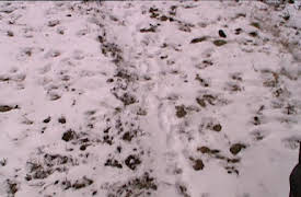 Bonderøven: Episode 3