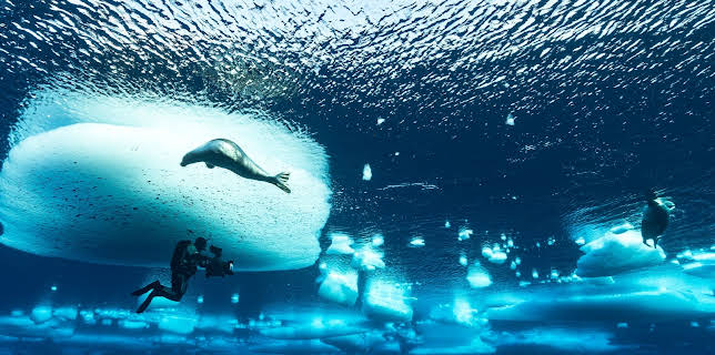 23:35: Ei iskald verd: Iskaldt hav | NRK 2 | 11/5 2025