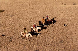Last American Cowboy: Season 1: Season's End