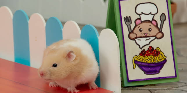 17:20: Rosin og Bolle: Kokk Nudel | NRK Super | 12/27 2025