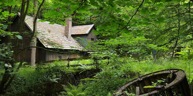 09:55: Abenteuer Wildnis | BR Fernsehen | 11/8 2025