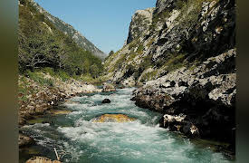 Wild Spain: The Atlantic North